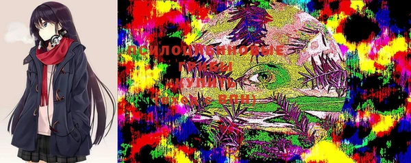 прущая мука Баксан