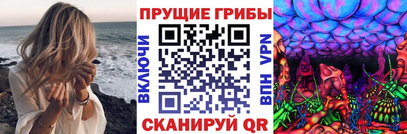 мега ссылки  Николаевск-на-Амуре  сайты даркнета как зайти  Псилоцибиновые грибы Psilocybine cubensis 