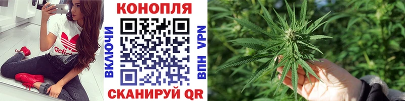 Бошки Шишки план Николаевск-на-Амуре